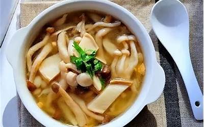 菌汤用什么蘑菇最好 哪种菌菇煲汤最鲜美